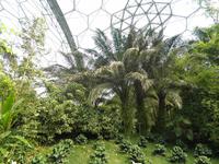 Eden Project &ndash; &copy; Constanze Hölig (Eberhardt TRAVEL)