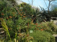 Eden Project &ndash; &copy; Constanze Hölig (Eberhardt TRAVEL)