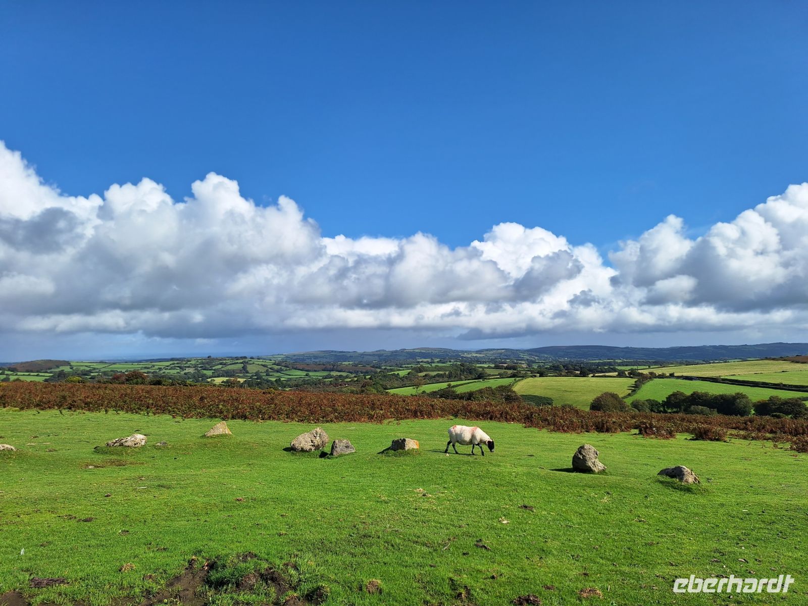 Dartmoor &ndash; &copy; Sinah Witzig (Eberhardt TRAVEL)