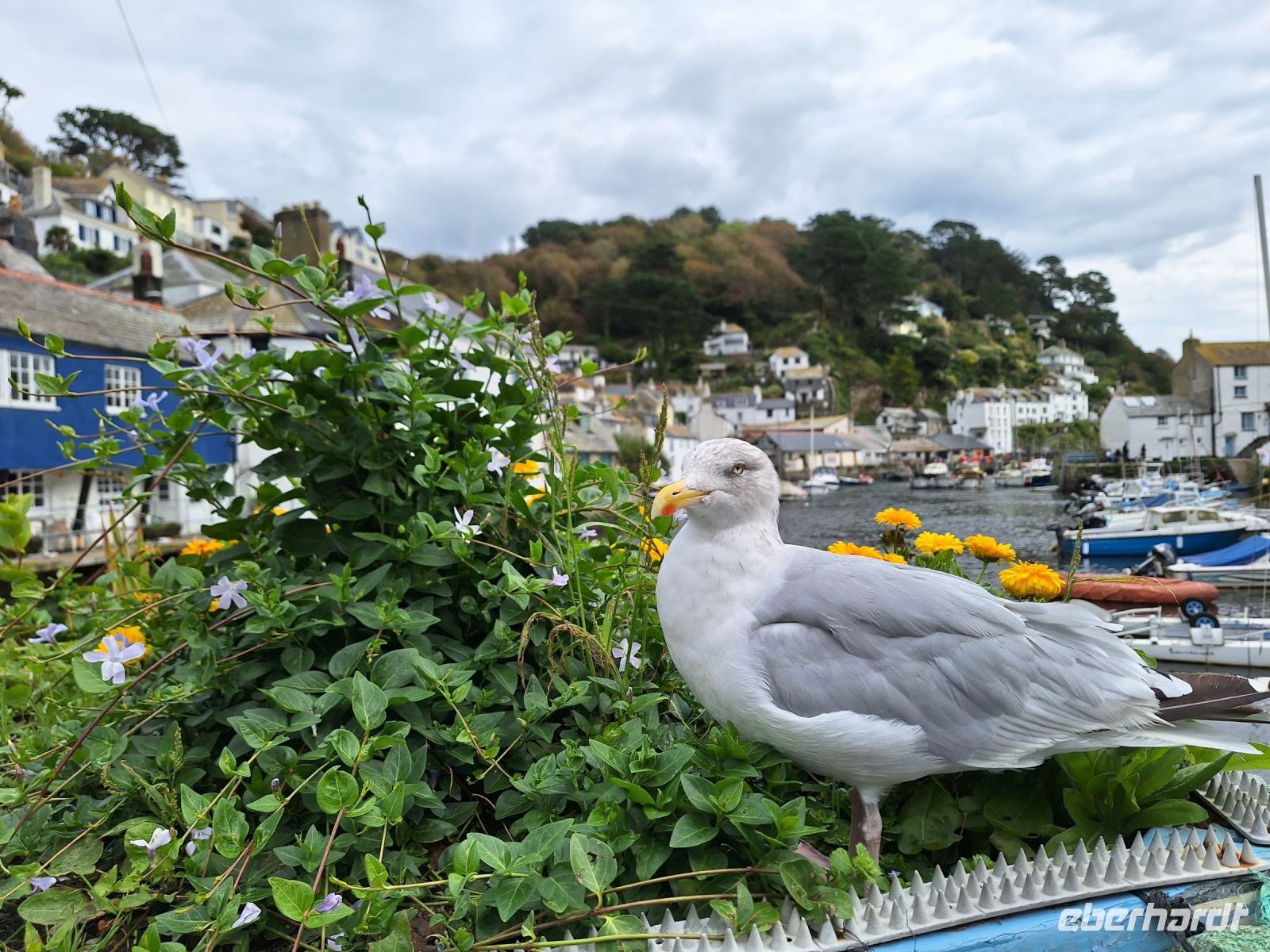 Polperro &ndash; &copy; Sinah Witzig (Eberhardt TRAVEL)