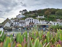 Polperro &ndash; &copy; Sinah Witzig (Eberhardt TRAVEL)