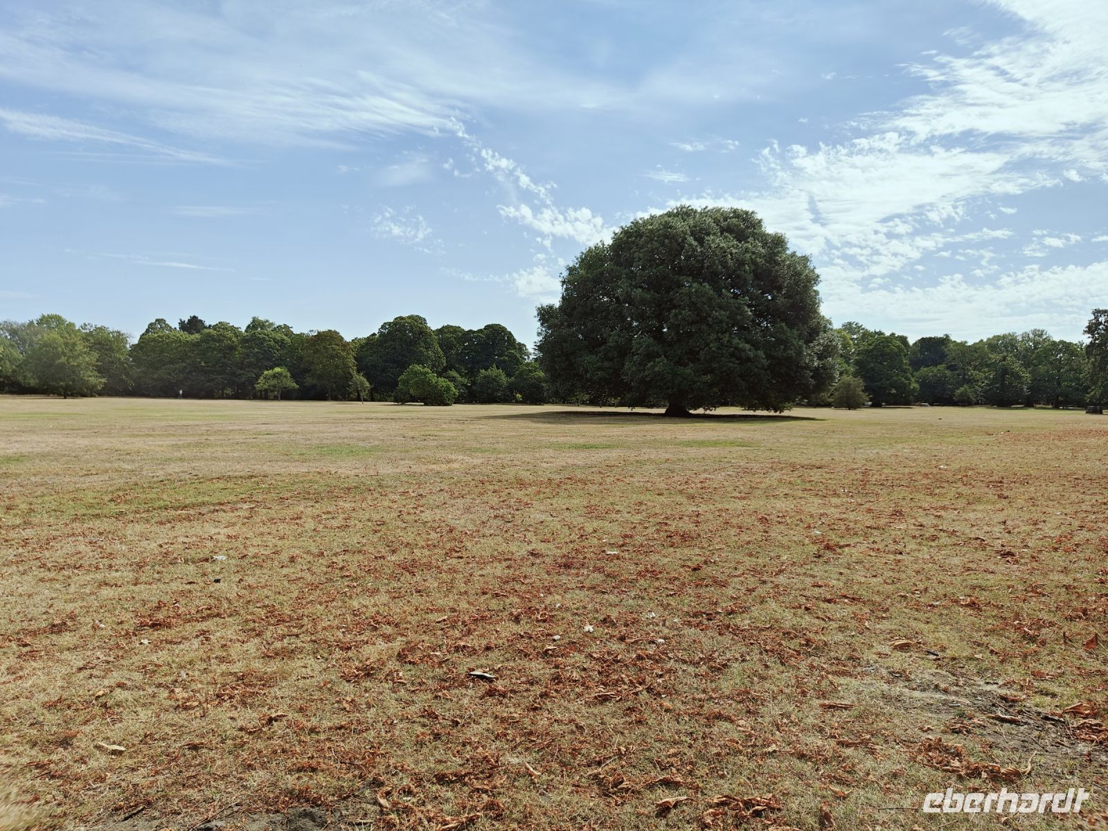 Greenwich Park &ndash; &copy; Britta Martini-Miles (Eberhardt TRAVEL)