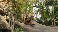 im Aquarium Bristol &ndash; &copy; Marlies Thrum (Eberhardt TRAVEL)