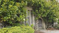Lanhydrock Haus &ndash; &copy; Marlies Thrum (Eberhardt TRAVEL)