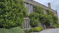 Magnolien blühen in Lanhydrock &ndash; &copy; Marlies Thrum (Eberhardt TRAVEL)