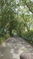 tyische Straßen durch Südengland &ndash; &copy; Marlies Thrum (Eberhardt TRAVEL)
