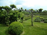 Penshurst Place and Gardens &ndash; &copy; Constanze Hölig (Eberhardt TRAVEL)