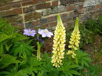 Penshurst Place and Gardens &ndash; &copy; Constanze Hölig (Eberhardt TRAVEL)