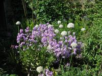 Sissinghurst Garden