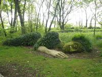 Lost Gardens of Heligan &ndash; &copy; Constanze Hölig (Eberhardt TRAVEL)