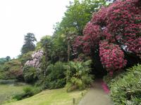 Lost Gardens of Heligan &ndash; &copy; Constanze Hölig (Eberhardt TRAVEL)