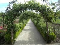 Lost Gardens of Heligan &ndash; &copy; Constanze Hölig (Eberhardt TRAVEL)