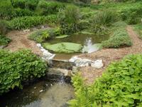 Trebah Gardens &ndash; &copy; Constanze Hölig (Eberhardt TRAVEL)