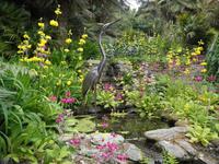 Trebah Gardens &ndash; &copy; Constanze Hölig (Eberhardt TRAVEL)