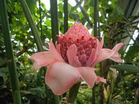 Eden Project &ndash; &copy; Constanze Hölig (Eberhardt TRAVEL)