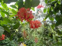 Eden Project &ndash; &copy; Constanze Hölig (Eberhardt TRAVEL)