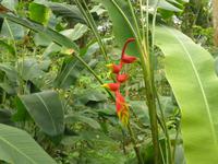 Eden Project &ndash; &copy; Constanze Hölig (Eberhardt TRAVEL)
