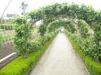 Lost Gardens of Heligan &ndash; &copy; Constanze Hölig (Eberhardt TRAVEL)