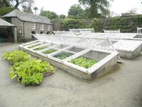Lost Gardens of Heligan &ndash; &copy; Constanze Hölig (Eberhardt TRAVEL)