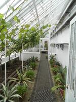 Lost Gardens of Heligan &ndash; &copy; Constanze Hölig (Eberhardt TRAVEL)