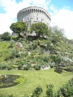 Windsor