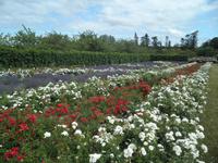 Penshurst Place and Gardens &ndash; &copy; Constanze Hölig (Eberhardt TRAVEL)