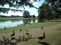 Leeds Castle &ndash; &copy; Constanze Hölig (Eberhardt TRAVEL)