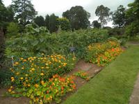 Knightshayes Court &ndash; &copy; Constanze Hölig (Eberhardt TRAVEL)