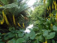 Lost Gardens of Heligan &ndash; &copy; Constanze Hölig (Eberhardt TRAVEL)