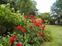 Lost Gardens of Heligan &ndash; &copy; Constanze Hölig (Eberhardt TRAVEL)
