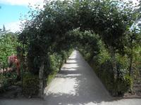 Lost Gardens of Heligan &ndash; &copy; Constanze Hölig (Eberhardt TRAVEL)