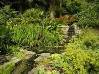 Trebah Garden &ndash; &copy; Constanze Hölig (Eberhardt TRAVEL)
