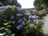Trebah Garden &ndash; &copy; Constanze Hölig (Eberhardt TRAVEL)