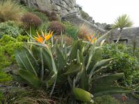 St Michael's Mount &ndash; &copy; Constanze Hölig (Eberhardt TRAVEL)