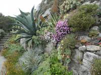 St Michael's Mount &ndash; &copy; Constanze Hölig (Eberhardt TRAVEL)
