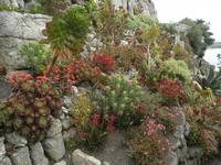 St Michael's Mount &ndash; &copy; Constanze Hölig (Eberhardt TRAVEL)