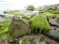 St Michael's Mount &ndash; &copy; Constanze Hölig (Eberhardt TRAVEL)