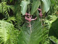 Eden Project &ndash; &copy; Constanze Hölig (Eberhardt TRAVEL)