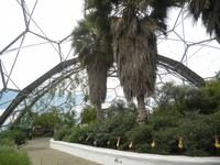 Eden Project &ndash; &copy; Constanze Hölig (Eberhardt TRAVEL)