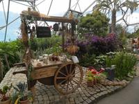 Eden Project &ndash; &copy; Constanze Hölig (Eberhardt TRAVEL)