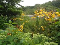 Eden Project &ndash; &copy; Constanze Hölig (Eberhardt TRAVEL)