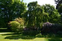 060 Heather Castle and Garden