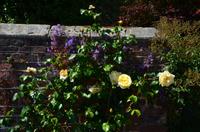 203 Penshurst Place and Garden