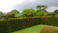 310 Knightshayes Court