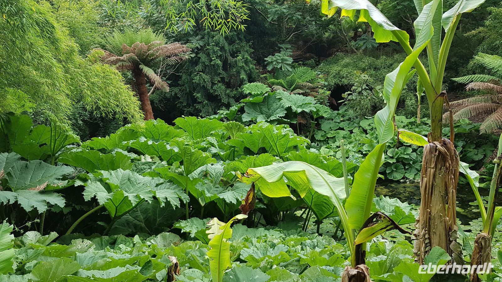 Lost Gardens of Heligan 20180619 162403 &ndash; &copy; Marlies Thrum (Eberhardt TRAVEL)