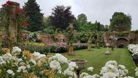 Hever Castle 20180614 121234 &ndash; &copy; Marlies Thrum (Eberhardt TRAVEL)