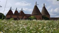 Sissinghurst 20180615 163744 &ndash; &copy; Marlies Thrum (Eberhardt TRAVEL)