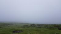 Dartmoor 20180618 172055 &ndash; &copy; Marlies Thrum (Eberhardt TRAVEL)