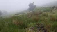 Dartmoor 20180618 172345 &ndash; &copy; Marlies Thrum (Eberhardt TRAVEL)