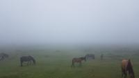 Dartmoor 20180618 172931 &ndash; &copy; Marlies Thrum (Eberhardt TRAVEL)